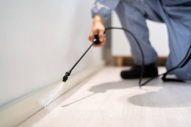 Licensed Pest Control service in Advance, NC - Show Me Pest Control